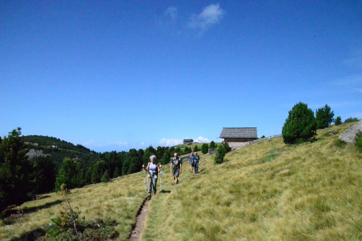 Latschenoelbrennerei und Platzer Alm 09.08.2021